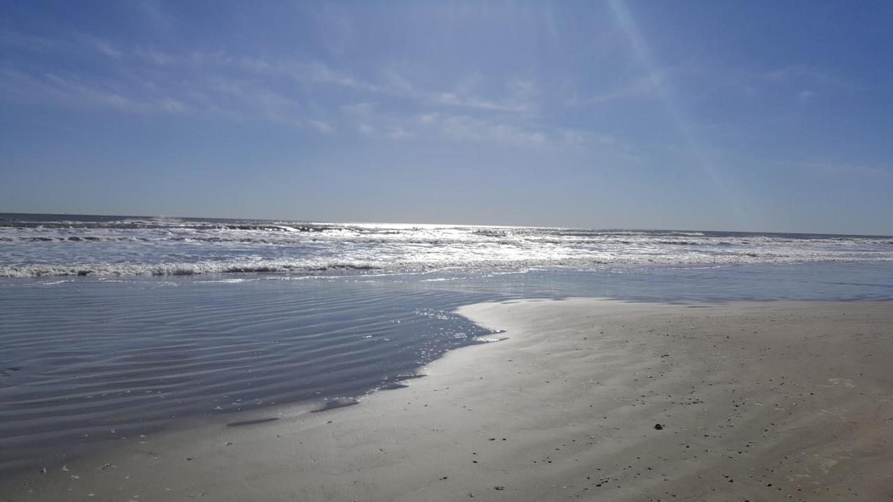 Private Beach -- Away From The Crowds - Ocean Views -Short Drive To Moody Gardens, Schlitter Bahn, Pleasure Pier Galveston Eksteriør bilde